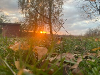 fire in the grass