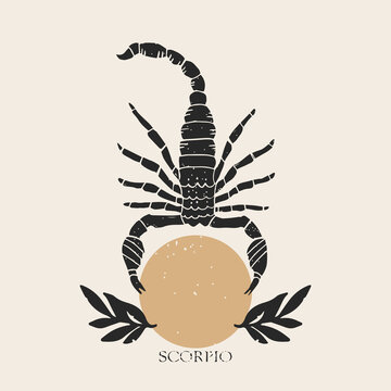 Zodiac sign Scorpio in boho style. Trendy vector illustration.