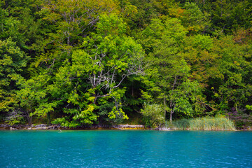 Summer landscape in Plitvice National Park, Croatia, Europe