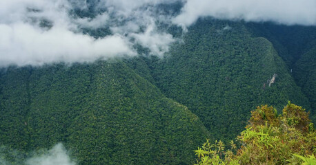 landscape in the morning and top view of forest in peru