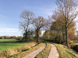 Fototapeta premium hike on a lonely path in a rural landscape in autumn