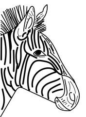 A basic illustrative depiction of a zebra's head and face.