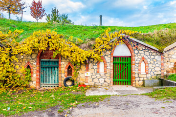 Fototapeta na wymiar Traditional historical wine cellar at Vrbice village, South Moravia region - Czech Republic. Small wine houses with plants over roof, built in the ground. Dramatic clouds, autumn weather.