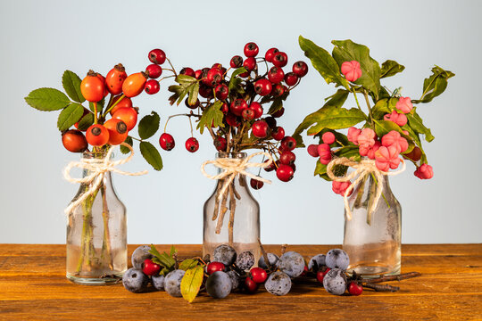 Xmas still life composition: glass jars with a cord ribbon bow and&nbsp;twigs of wild berries. Yellowish leaves and tiny little pine cones on a rustic table. Natural colors for a cozy season atmosphere.