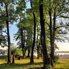 autumn in the park