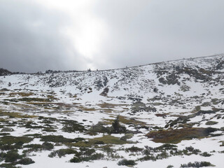high mountain snowy meadow with fog