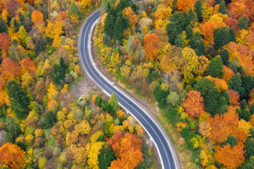 Winding road through the beautiful colorful autumn forest, aerial view