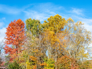 Vibrant fall foliage along the Blue Ridge Parkway in late October.