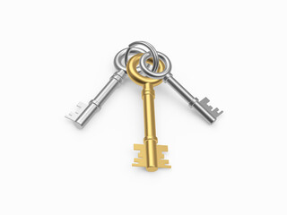 Gold and silver keys on a keychain isolated on a white background. 3D illustration