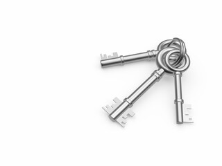 Set of silver or metal keys isolated on white background. 3D illustration