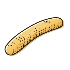 Sausage isolated on white background. Vector illustration of food concept.