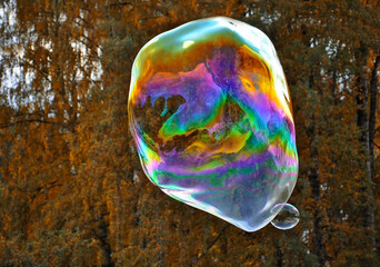 a big soap bubble flies against the trees