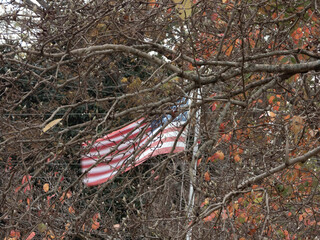 American Flag waving through the trees