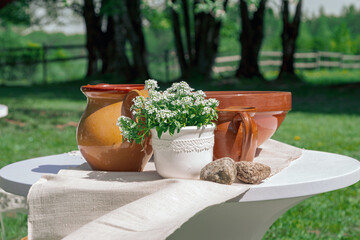 Pot with flowers in garden on white table. 