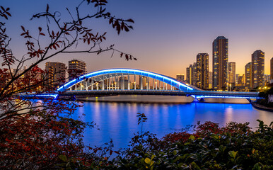 夕暮れの永代橋　ライトアップ　夜景