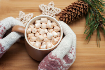 Fototapeta na wymiar Hands in warm gloves hold a mug with hot chocolate and marshmallows