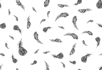  Set of bird feathers. Hand drawn sketch style.