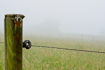Wooden post with wire from which hang drops of water with a background meadow and dense fog.