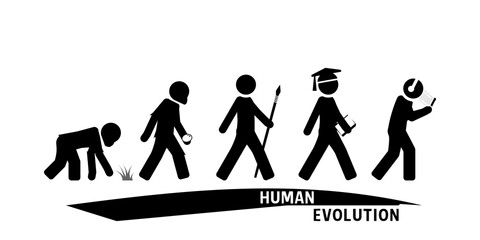 Human evolution from ape to modern man