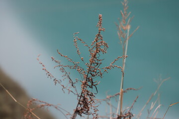 Blue Water of Teesta River in Sikkim ,India