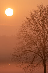 Obraz premium Abendstimmung