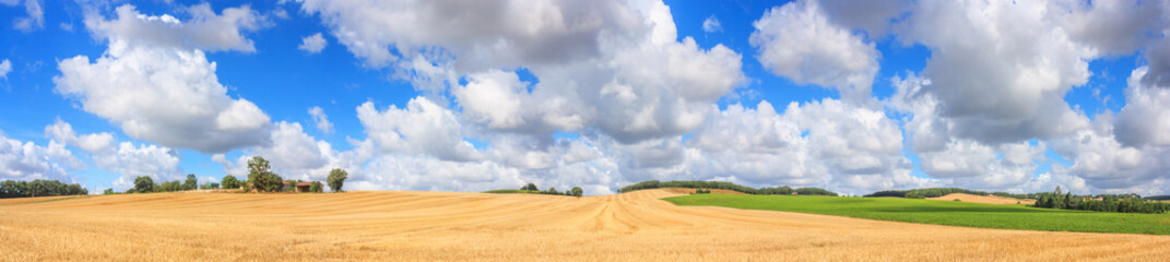 Summer rural landscape, panorama, banner - view of agricultural fields under sky with clouds, in the historical province Gascony, the region of Occitanie of southwestern France