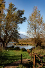 natural glimpse on the shores of Lake Fibreno, the warm colors of autumn, wooden fence.
