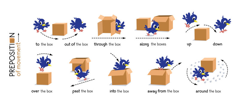 Preposition of movement. Bird and the box