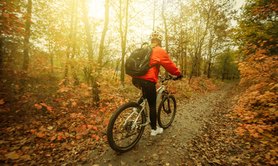 Fototapeta na wymiar The image of unrecognizable bicycle cyclist woman in sportunition rides along forest path with reddened leaves of trees.