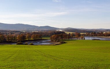 Obraz premium Czech autumn landscape. Dry pond Dehtar with meadow, trees and distant hill at autumn day time