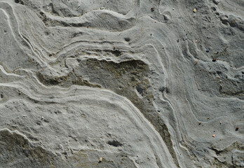 Surface of sea stone mudstone as background 