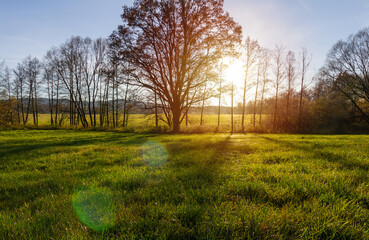 Czech autumn landscape. Meadow with cobweb, tree alley and distant hill at sunset