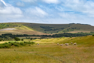 A South Downs Rural View