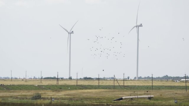Birds fly against the background of the Wind turbine.