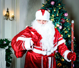 Santa Claus with a bag of gifts on the background of the Christmas tree. New year and Christmas celebrations. Russian holiday.