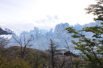 glaciar 16