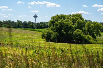 grove of trees in the middle of a field with a rural water tower in the background