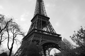 La Tour Eiffel au milieu des arbres