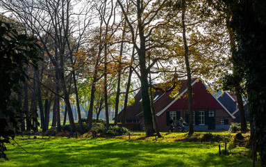 Naklejka na ściany i meble Rural landscape in autumn colors near Winterswijk, Netherlands 