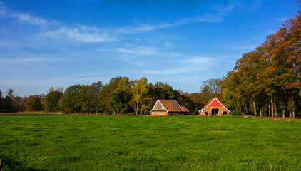 Rural landscape in autumn colors near Winterswijk, Netherlands
