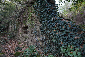 Saint-Herblain - Parc de la Chézine - Ancien mur de pierres