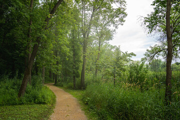 foggy maintained park trail next to a lake in minnesota