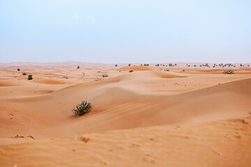 Fototapeta na wymiar deserto 11