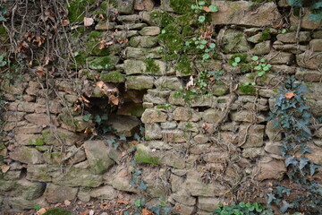 Saint-Herblain - Parc de la Chézine - Ancien mur de pierres