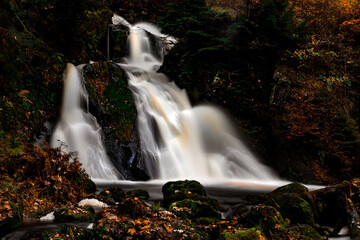 Obraz premium Triberger Wasserfälle