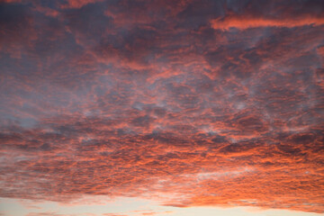 Fototapeta premium Beautiful red-orange sky with small clouds torn to shreds at sunset. Horizontal orientation.
