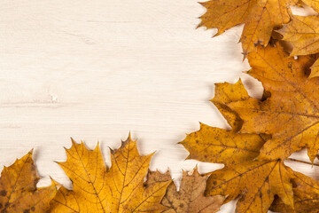 foliage of autumn leaves on a wooden background