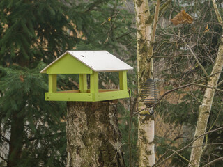 wooden bird house