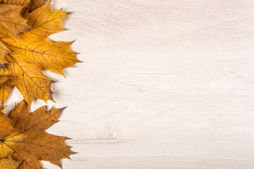 Naklejka na ściany i meble foliage of autumn leaves on a wooden background