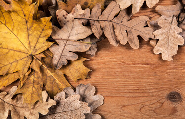 foliage of autumn leaves on a wooden background